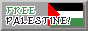 A button with the Palestinian Flag on it that reads "free Palestine"