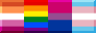 A button with the lesbian, gay, bisexual, and transgender flags.